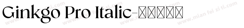 Ginkgo Pro Italic字体转换